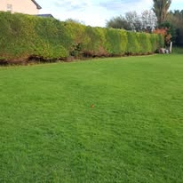 Large professionally maintained lawn — Midwest Garden Maintenance